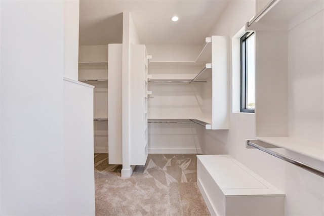 2223 Wintercreek Blvd, Blanchard, OK 73010 - spacious closet with light colored carpet