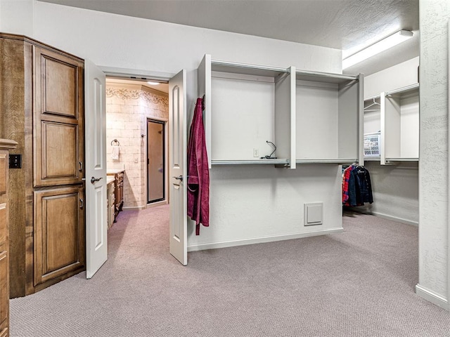 walk in closet with light colored carpet