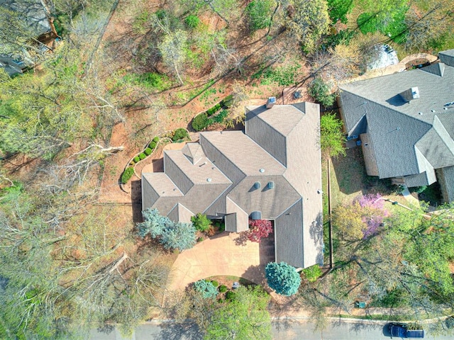 bird's eye view