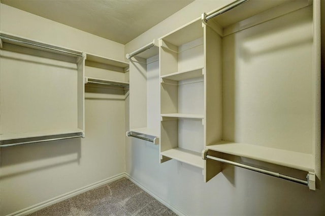 walk in closet with carpet floors