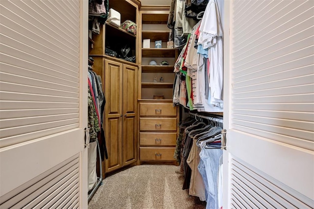 815 River View Dr, Norman, OK 73071 - spacious closet featuring light colored carpet