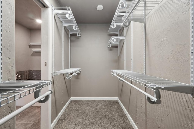 walk in closet featuring carpet flooring