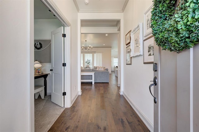 entrance foyer featuring dark wood-style flooring, ornamental molding, baseboards, and an inviting chandelier