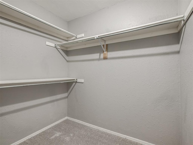 8131 NW 23rd St, Oklahoma City, OK 73127 - spacious closet with carpet