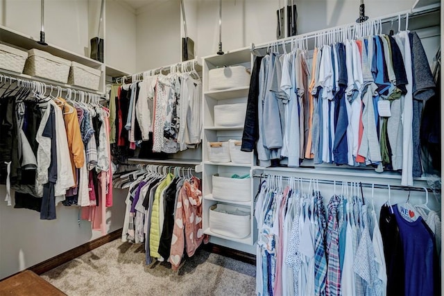 walk in closet with carpet flooring