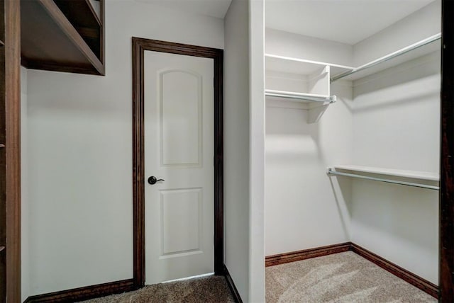 spacious closet featuring carpet flooring