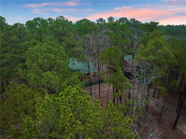155 Split Shot Cir, Broken Bow, OK 74728 - photo 42