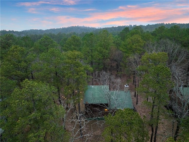 155 Split Shot Cir, Broken Bow, OK 74728 - photo 46