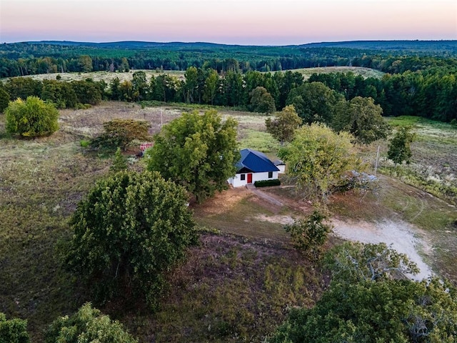 aerial view at dusk with a forest view