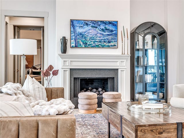 living room featuring a fireplace