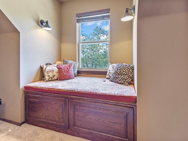 3407 Staghorn Dr, Blanchard, OK 73010 - photo 28