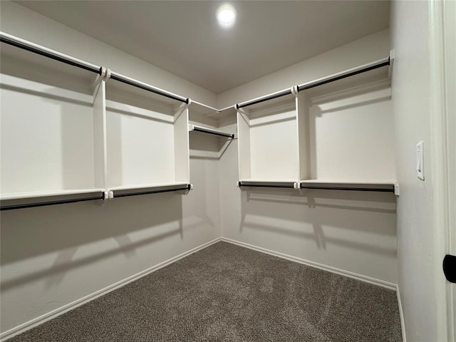 spacious closet featuring dark colored carpet