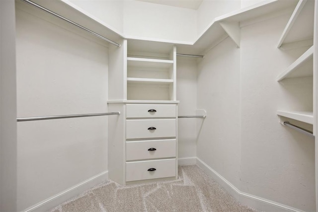 13125 Oakcliff Rd, Oklahoma City, OK 73120 - walk in closet with light carpet