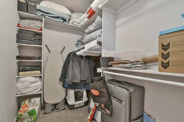 walk in closet with carpet flooring