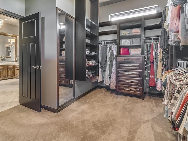 spacious closet featuring light carpet