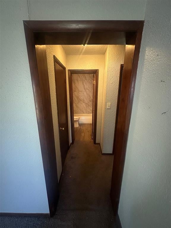 corridor featuring carpet floors