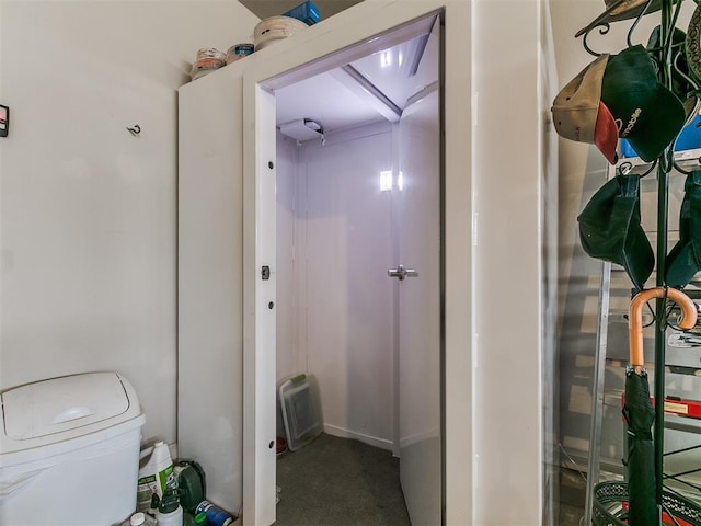 bathroom with toilet
