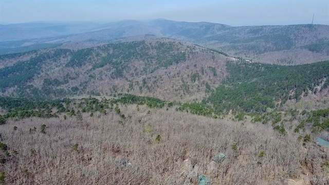 view of mountain feature