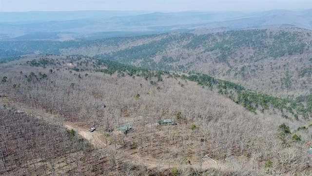 view of mountain feature