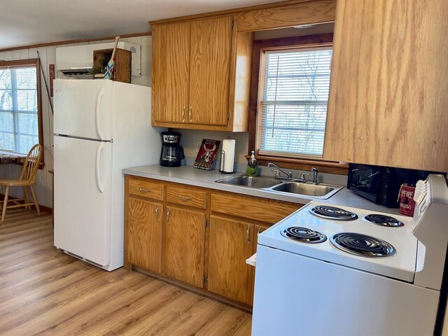 kitchen with a sink, light wood-style flooring, white appliances, and plenty of natural light