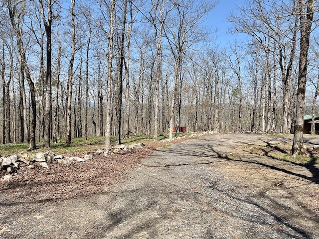 view of yard featuring a wooded view