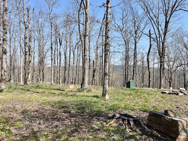 view of yard with a storage shed, a forest view, and an outdoor structure