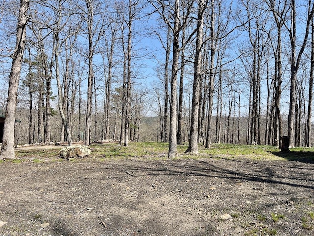 view of yard with a wooded view