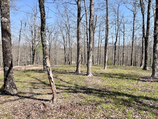 view of nature featuring a forest view