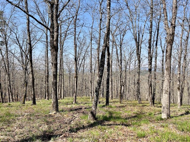 view of landscape featuring a wooded view