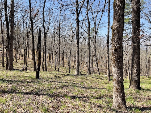 view of local wilderness with a view of trees