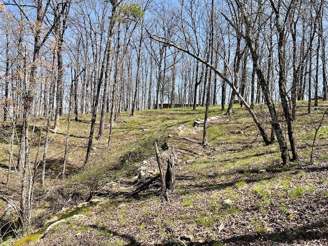 view of landscape