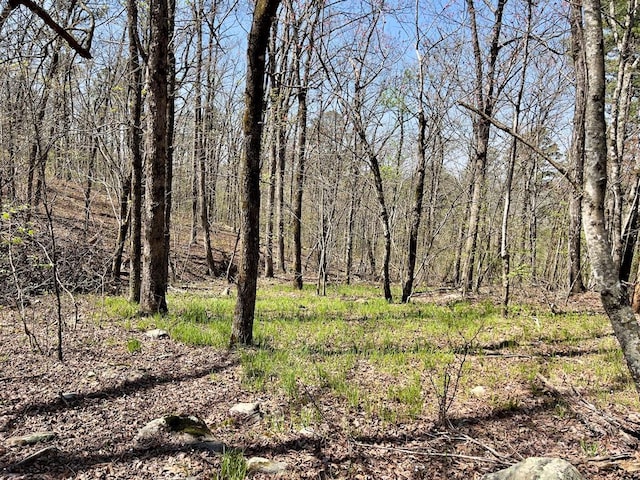 view of landscape with a view of trees