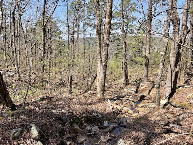 view of landscape featuring a wooded view