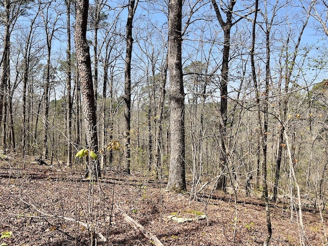 view of nature featuring a wooded view