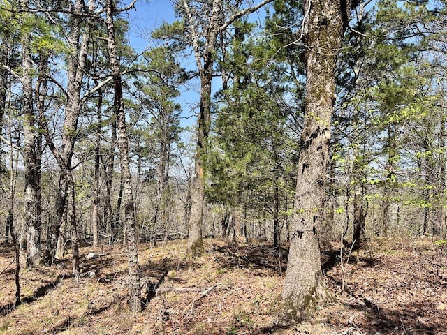 view of nature with a forest view