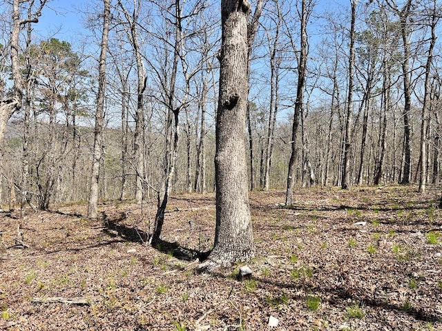 view of local wilderness featuring a wooded view