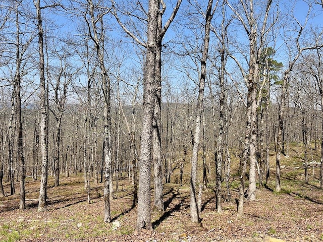 view of landscape featuring a forest view