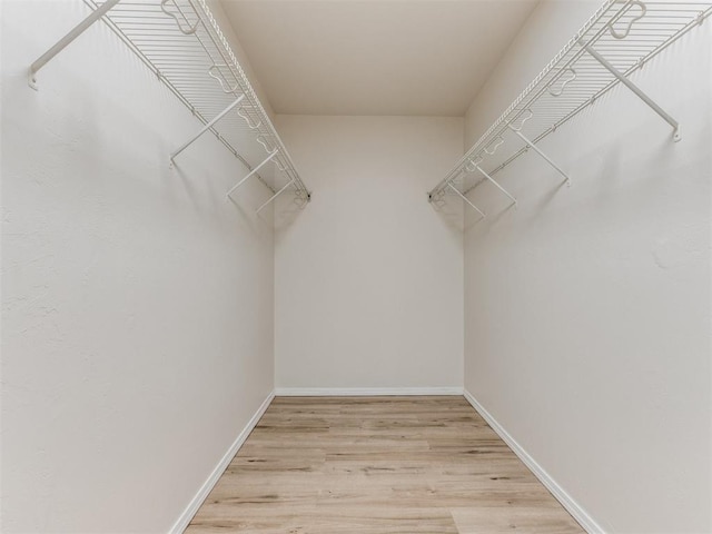 1801 NW 145th St, Edmond, OK 73013 - walk in closet with light wood-style flooring