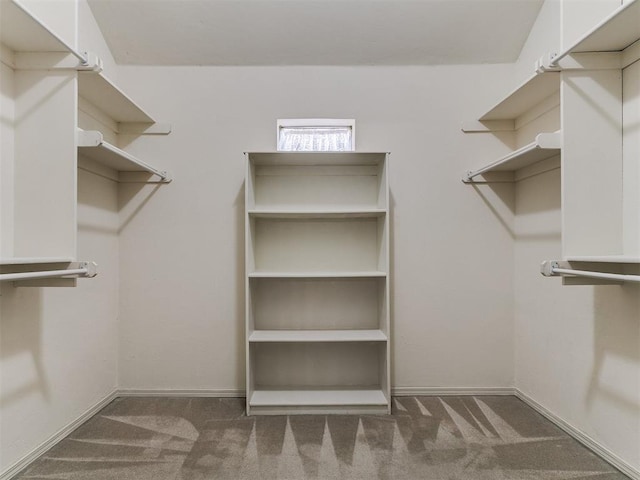 9333 SW 22nd St, Oklahoma City, OK 73128 - walk in closet with carpet