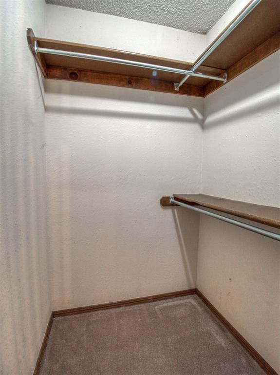 1520 NE 2nd St, Moore, OK 73160 - walk in closet featuring carpet