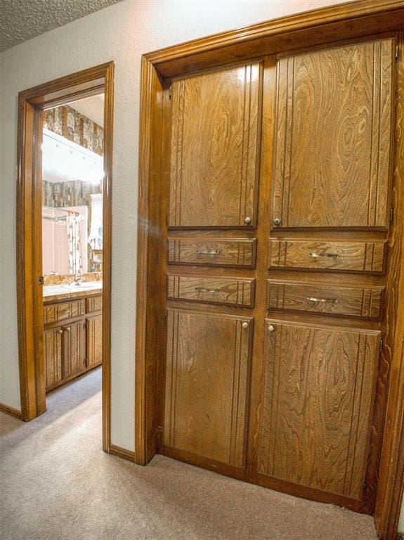 1520 NE 2nd St, Moore, OK 73160 - interior details with carpet and baseboards