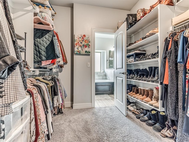 spacious closet featuring carpet