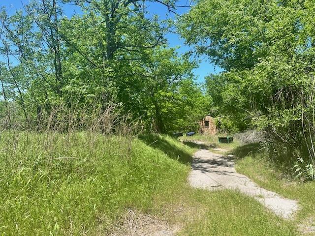view of local wilderness