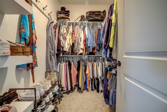308 W Kerby Ave, Washington, OK 73080 - walk in closet with carpet