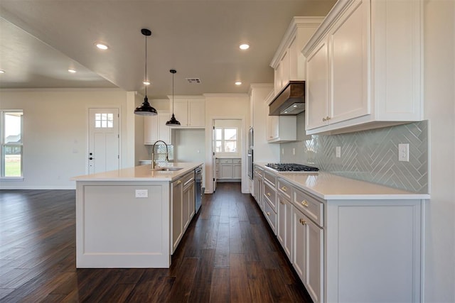 kitchen with stainless steel dishwasher, range hood, tasteful backsplash, gas stovetop, and a sink