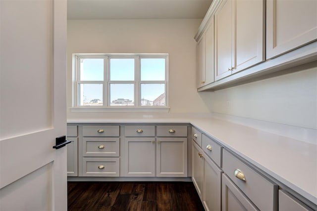 kitchen featuring gray cabinetry, dark wood-type flooring, and light countertops