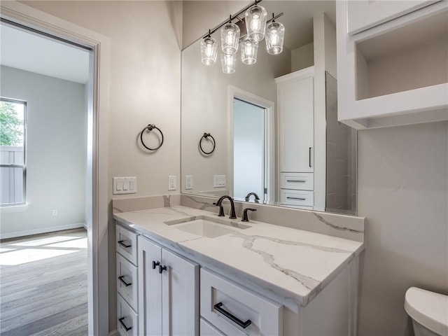 bathroom featuring toilet, vanity, and wood finished floors