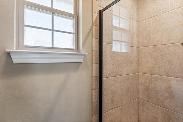 interior details with a stall shower