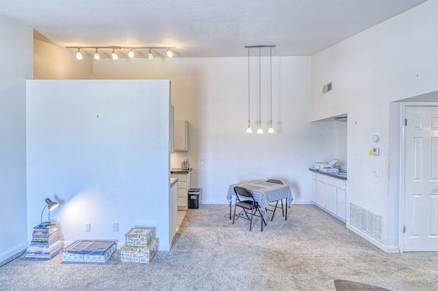 3003 River Oaks Dr Unit 215, Norman, OK 73072 - kitchen with light colored carpet, track lighting, hanging light fixtures, and baseboards