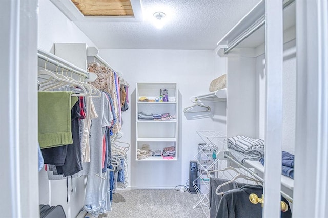 3003 River Oaks Dr Unit 215, Norman, OK 73072 - walk in closet with carpet floors